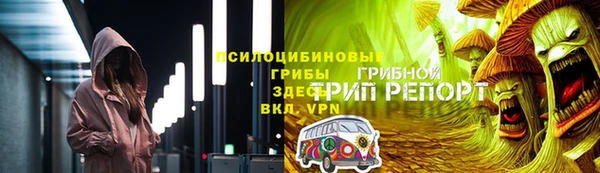 твердый Алзамай
