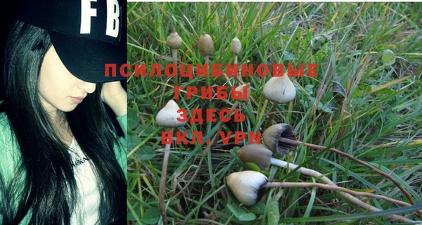 герыч Аркадак
