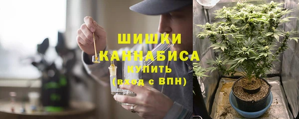 твердый Алзамай