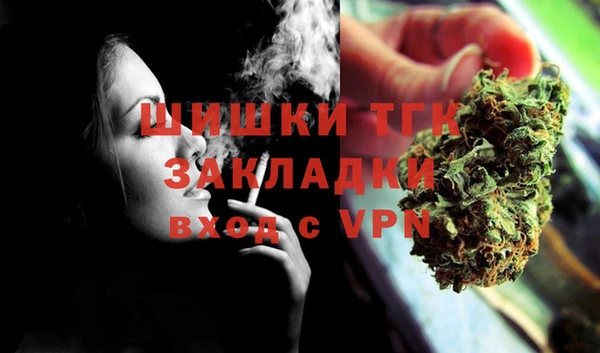 твердый Алексин
