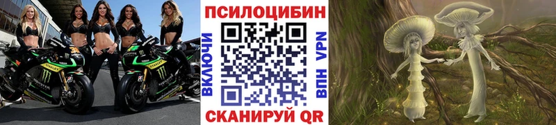 купить   Сорочинск  Галлюциногенные грибы GOLDEN TEACHER 